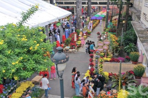 Meaningful Project At The End Of The Cat Year: Cho Ray Hospital Flowers Street

